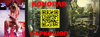 Альфа ПВП Кингисепп