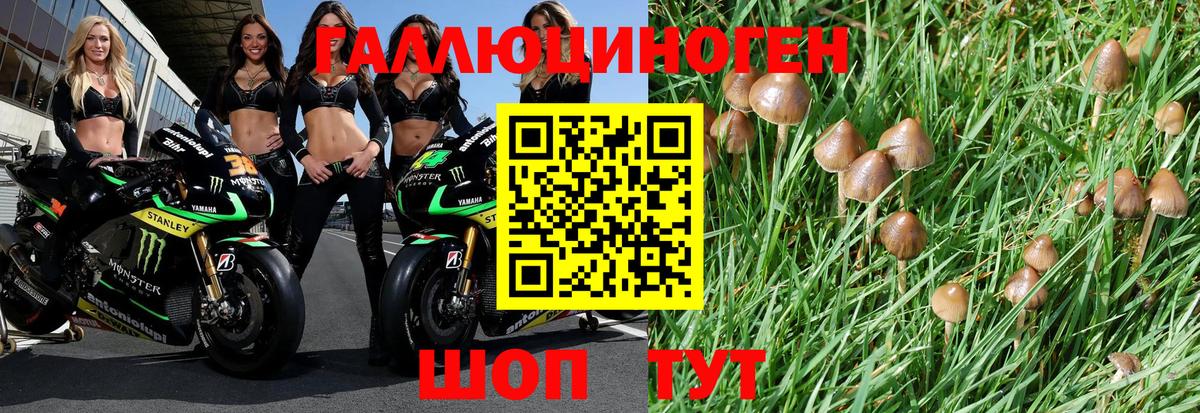 Псилоцибиновые грибы прущие грибы  Псилоцибиновые грибы Magic Shrooms  Красногорск  как найти наркотики  Вход с VPN 
