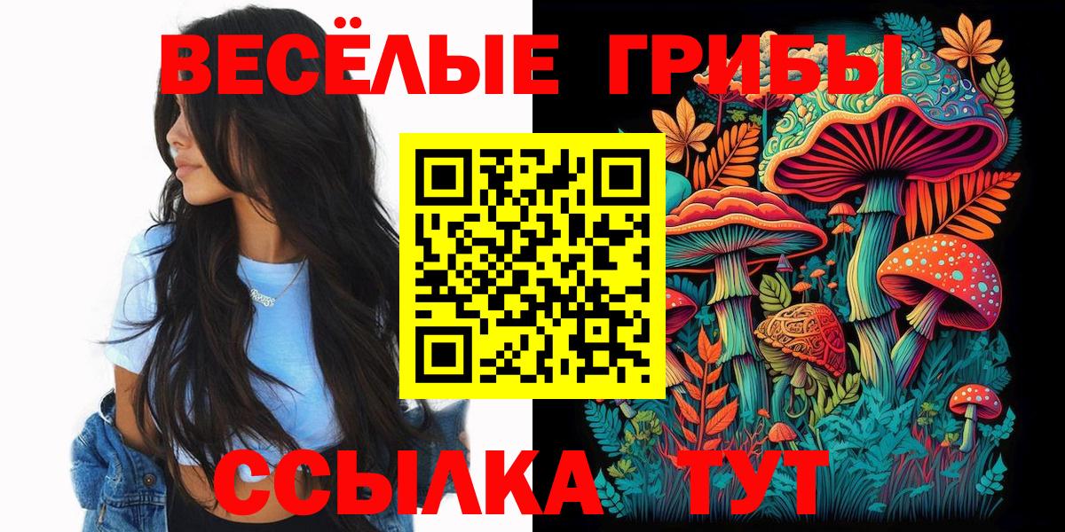 Псилоцибиновые грибы Cubensis Красногорск